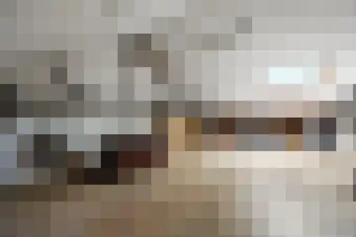 Iepenlaan 60 Duiven thumbnail 26