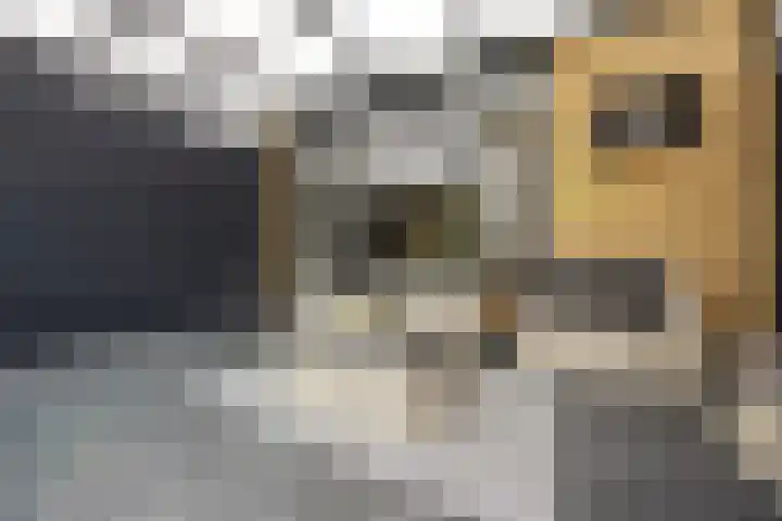 Iepenlaan 60 Duiven thumbnail 32