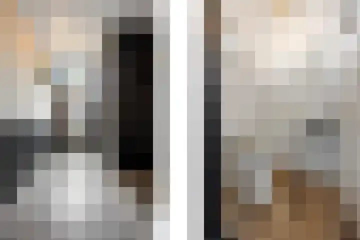 Iepenlaan 60 Duiven thumbnail 6