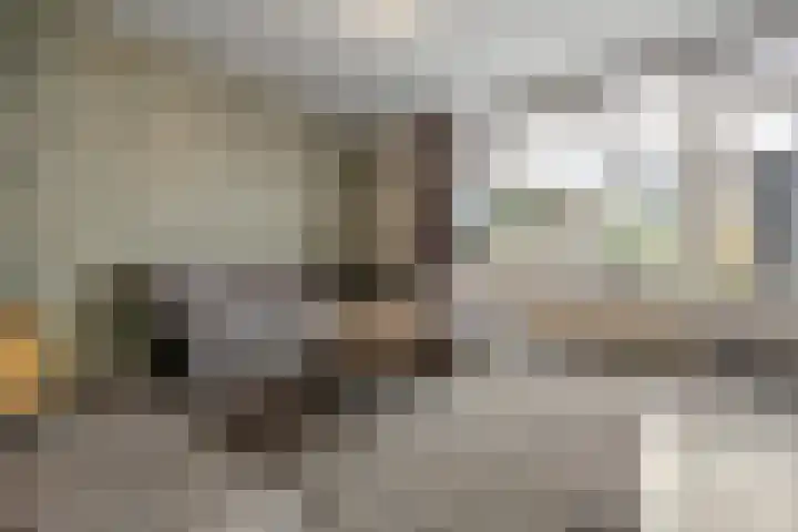 Iepenlaan 60 Duiven thumbnail 7
