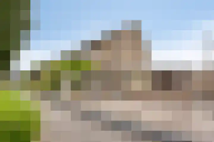 Iepenlaan 7 Bemmel foto 3
