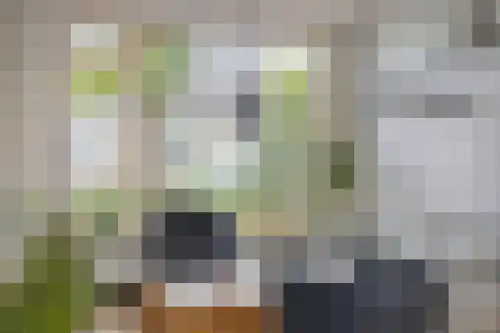 Iepenlaan 7 Bemmel thumbnail 7