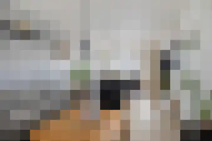 Iepenlaan 7 Bemmel thumbnail 9