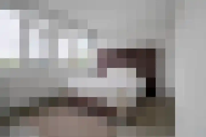 Iepenschans 40 Leiderdorp thumbnail 17