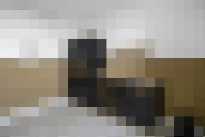 Iepenschans 40 Leiderdorp thumbnail 24