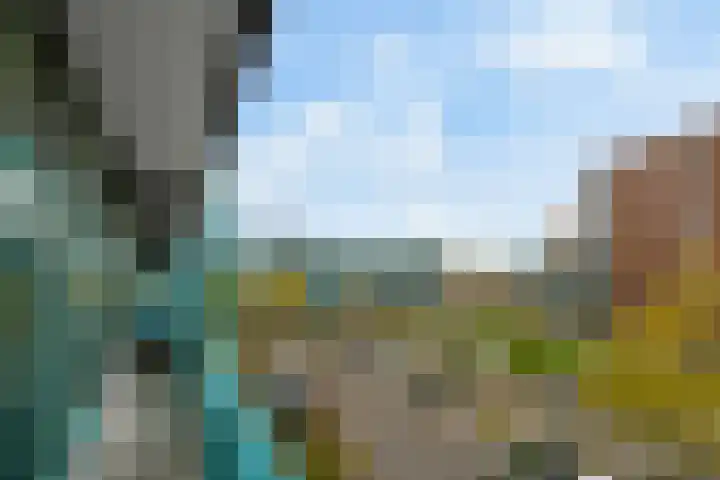Iepenschans 40 Leiderdorp thumbnail 30
