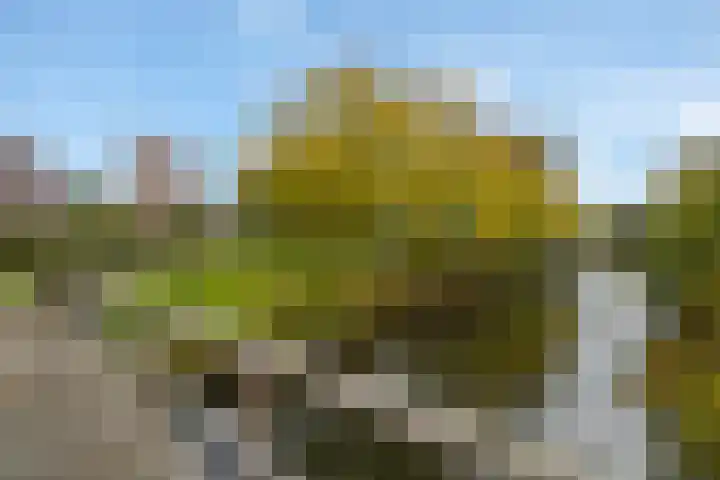 Iepenschans 40 Leiderdorp thumbnail 33