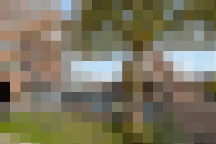 Iepenschans 40 Leiderdorp thumbnail 34