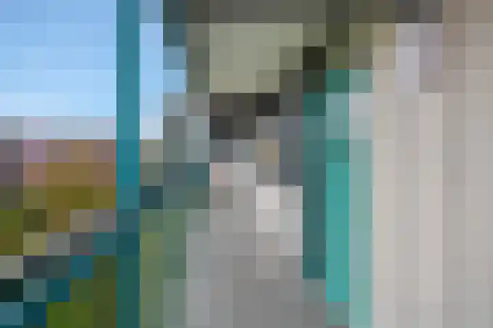Iepenschans 40 Leiderdorp thumbnail 8