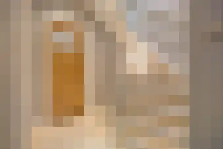 Iepenstraat 17 Haarlem thumbnail 21