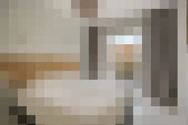 Iepenstraat 17 Haarlem thumbnail 22