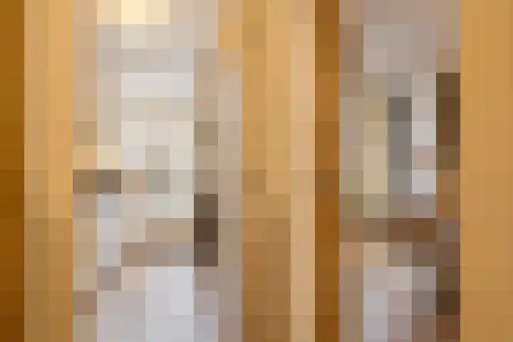 Iepenstraat 19 Haarlem thumbnail 18