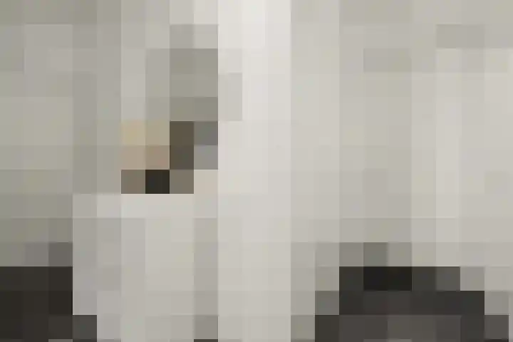 Ierlandhof 3 Almere thumbnail 20
