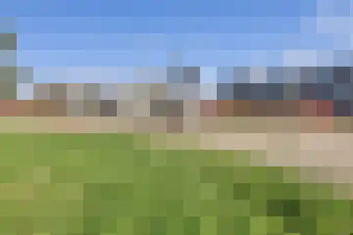Ierlandhof 3 Almere thumbnail 25