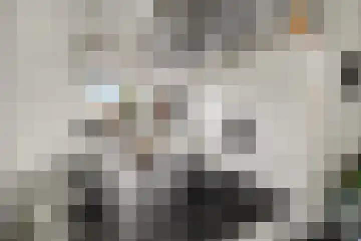 Ierlandhof 3 Almere thumbnail 8