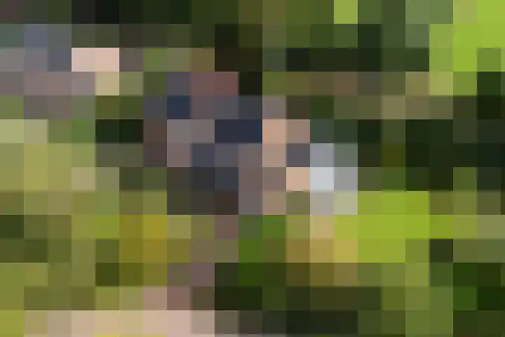 Ifftemalaan 13 Leek