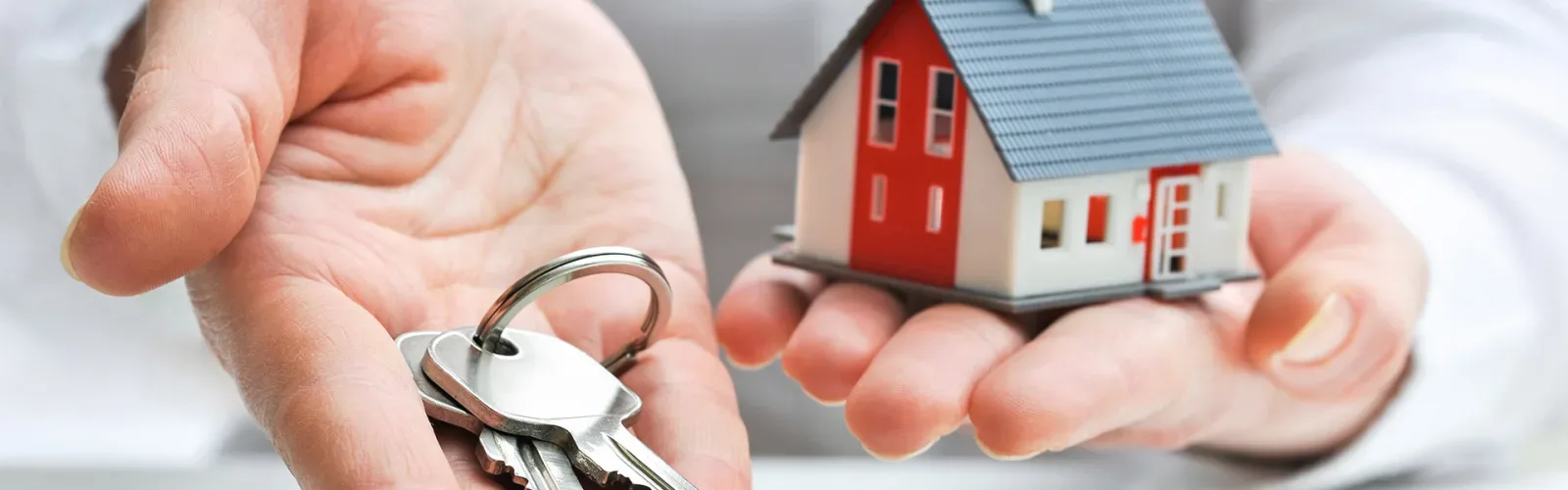 Photo d'équipe de IFS Makelaardij