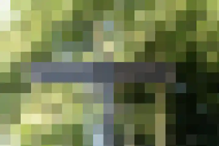 IJplein 270 Amsterdam thumbnail 33