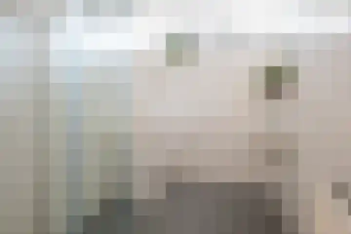 IJsbaan 1 Gorinchem thumbnail 11