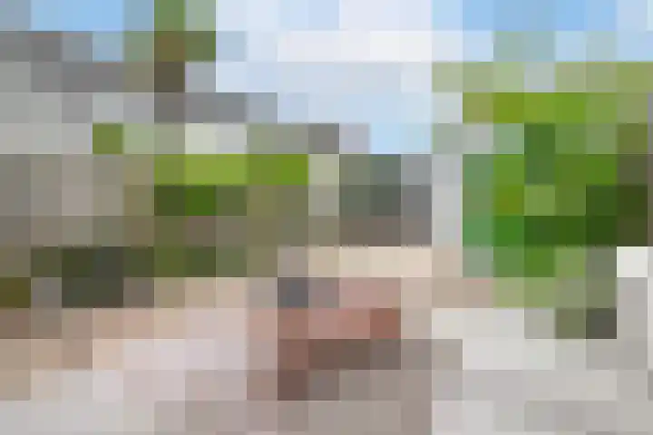 IJsbaan 1 Gorinchem thumbnail 15