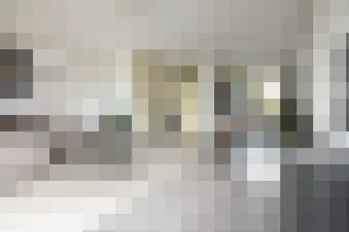 IJsbaan 1 Gorinchem thumbnail 4