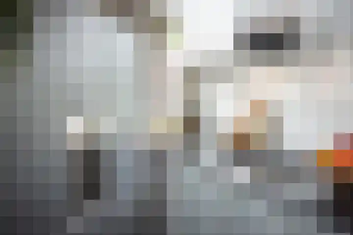 IJsbaan 1 Gorinchem thumbnail 7