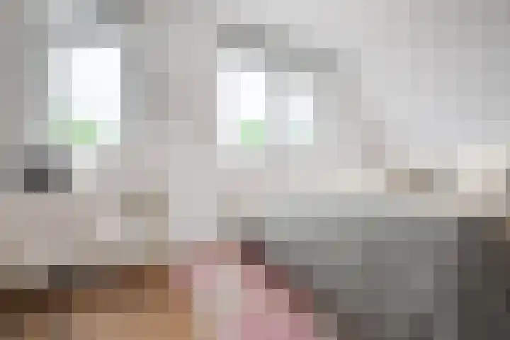 IJsbaan 1 Gorinchem thumbnail 8