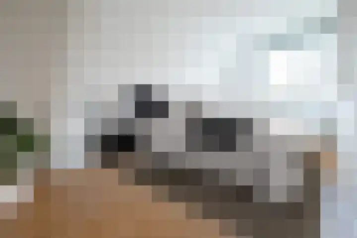 IJsbaan 1 Gorinchem thumbnail 9