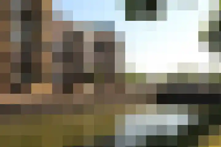 IJsbaankade 175 Huizen thumbnail 23