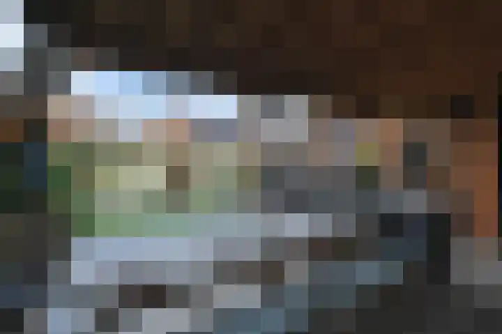 IJsbloem 11 Nootdorp thumbnail 13