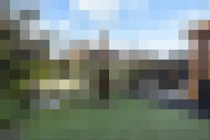 IJsbloem 11 Nootdorp thumbnail 14