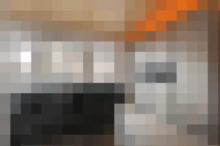 IJsbloem 11 Nootdorp thumbnail 32