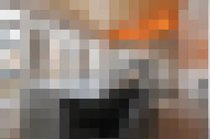 IJsbloem 11 Nootdorp thumbnail 34