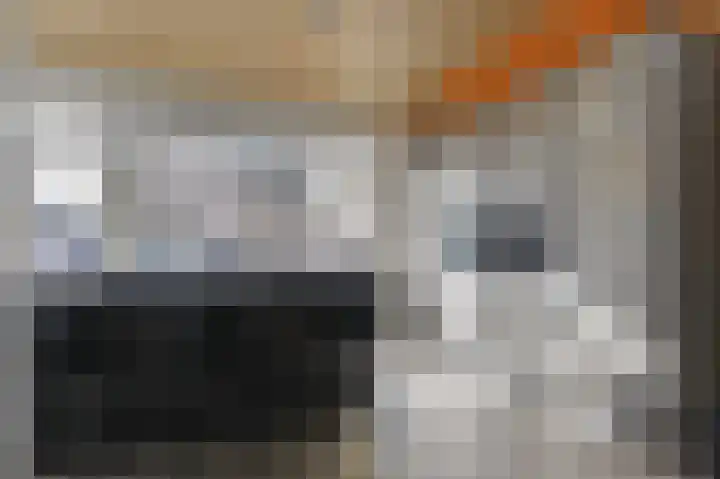IJsbloem 11 Nootdorp thumbnail 36