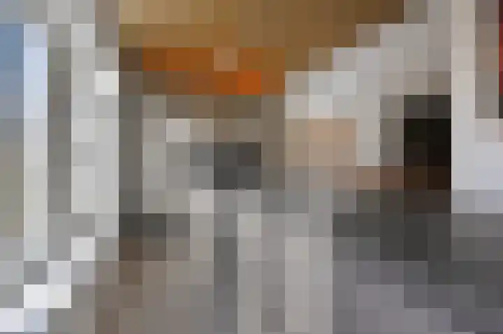 IJsbloem 11 Nootdorp thumbnail 37