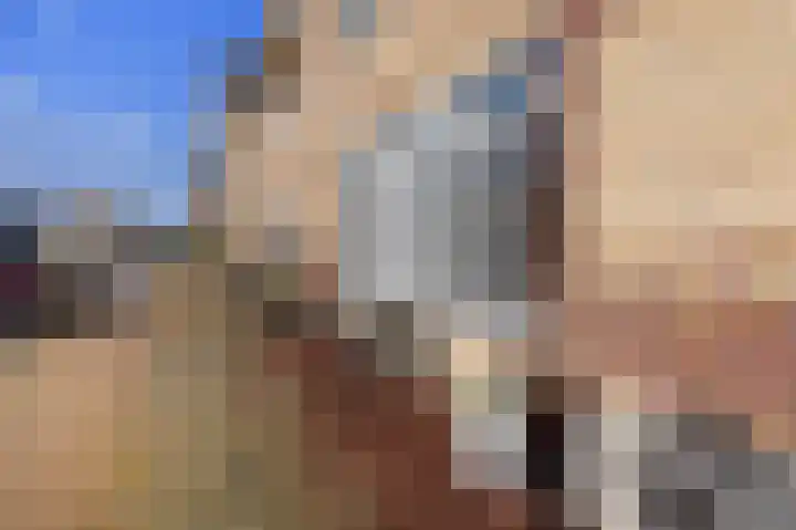 IJsbloem 11 Nootdorp thumbnail 6