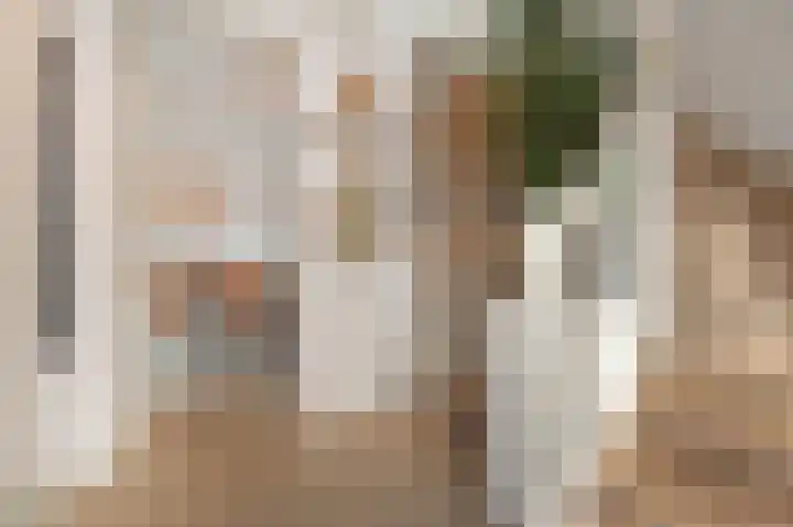 IJsbloem 11 Nootdorp thumbnail 8