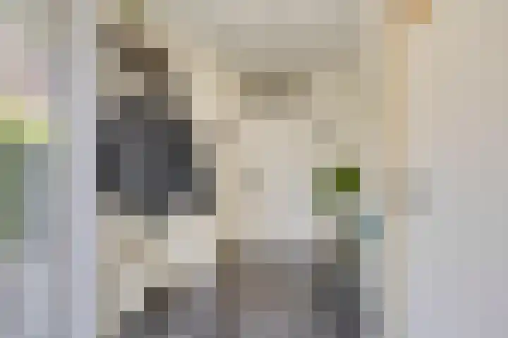 IJsbout 23 Zetten thumbnail 12