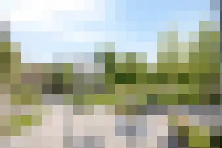 IJsbout 23 Zetten foto 3