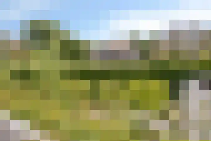 IJsbout 23 Zetten thumbnail 43
