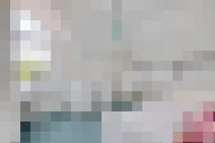 IJsbout 23 Zetten thumbnail 44