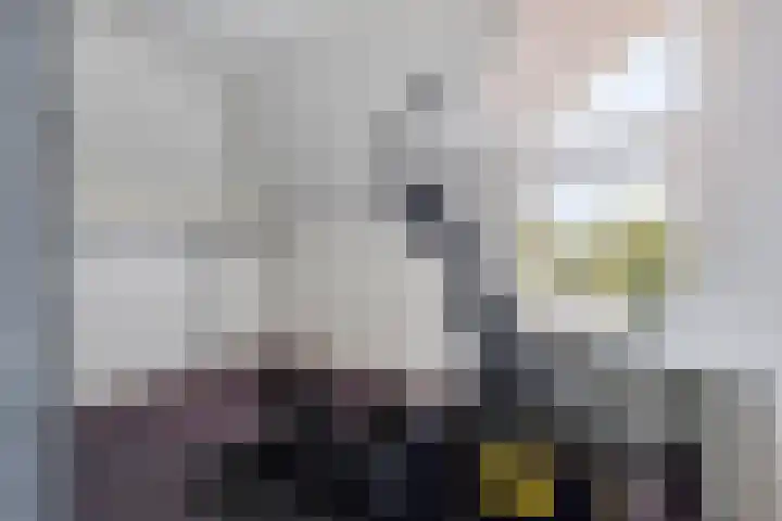 IJsbout 23 Zetten thumbnail 45