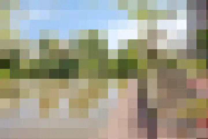 IJsbout 23 Zetten thumbnail 58