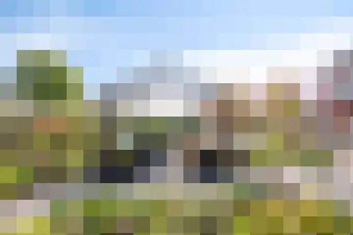 IJsbout 23 Zetten thumbnail 61
