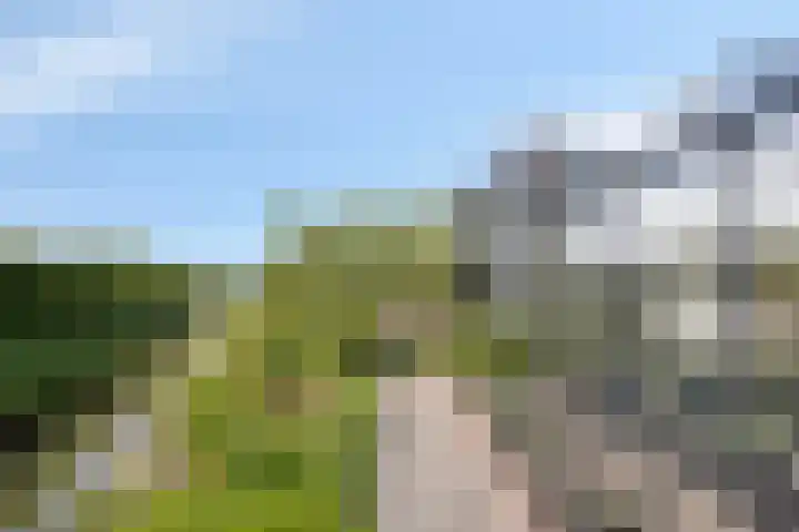 IJsbout 23 Zetten thumbnail 64