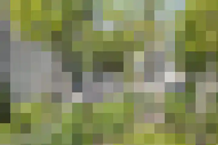 IJsbout 23 Zetten thumbnail 66