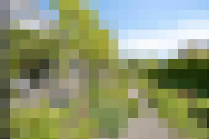 IJsbout 23 Zetten thumbnail 67
