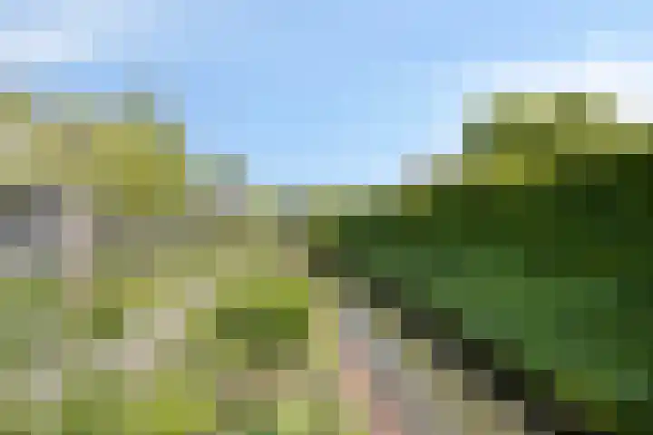 IJsbout 23 Zetten thumbnail 68