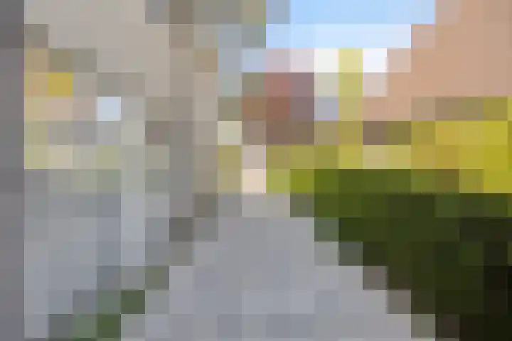 IJsbout 23 Zetten thumbnail 7