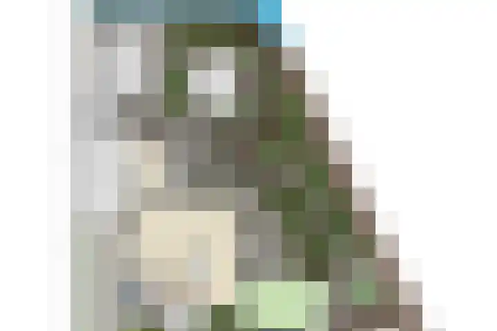 IJsbout 23 Zetten thumbnail 74